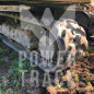 Rubber track 180X60X33 mounted on machine